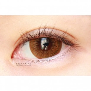 LENSME Mega Look M3 BROWN(月拋)